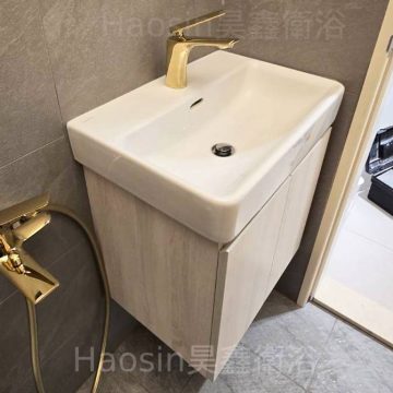 LAUFEN-81895.8臉盆+訂制浴櫃55*38cm深度小尺寸